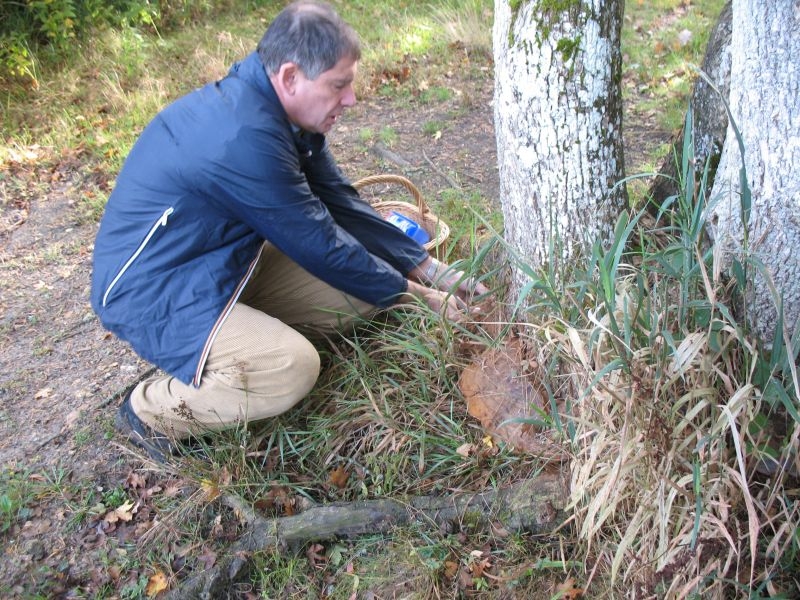 2006 10 Myco Etang d'Or 07